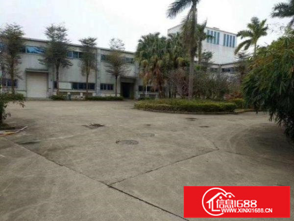 横岗大马路物流重工业厂房12米高20000平方出租