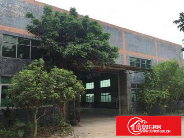 大良独门独院2000方有独立办公可办环评可分租A