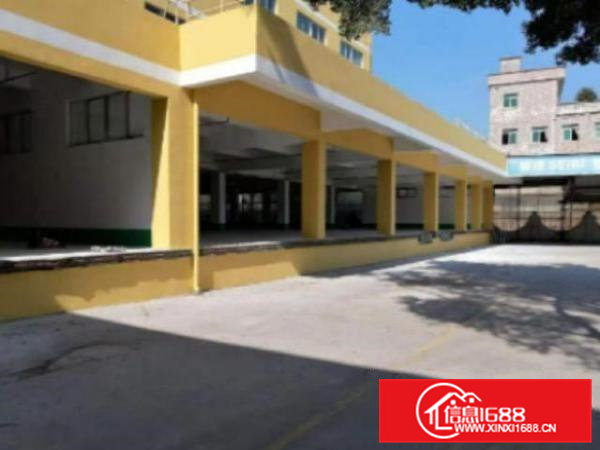 高埗工业区独院标准厂房仓库一楼2000平方出租带卸货平台