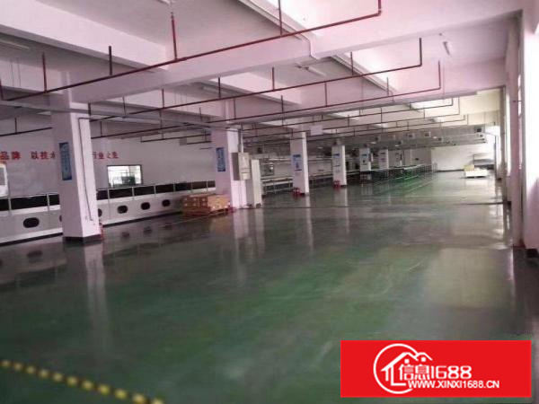 淡水白云坑工业园精装修厂房1850平米