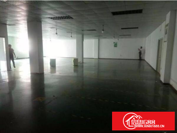 上雪科技园东区1200平厂房招租可分租