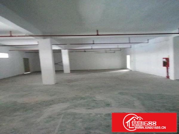 龙岗龙岗龙东厂房1200平米