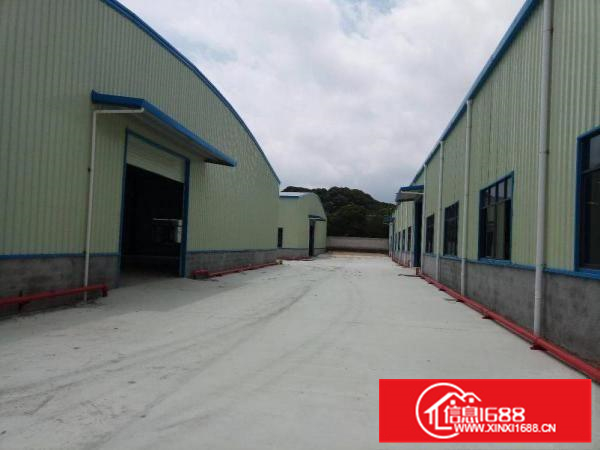 新圩全新单一层钢结构20980平方米招租（可分租