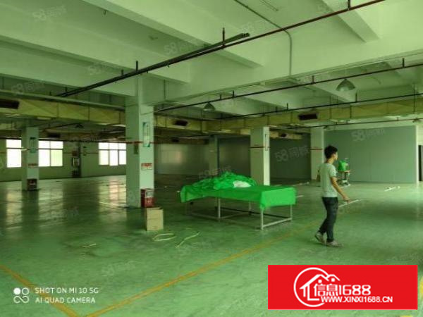 石碣原房东新出四楼非顶楼独门独院双电梯配备齐全交通方便