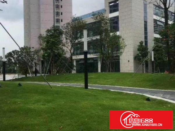 布吉原房东甲级独栋写字楼2100平招租