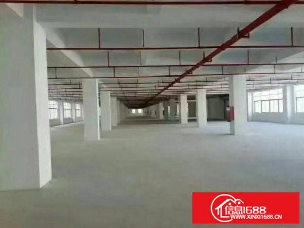 东莞凤岗全新厂房2600一层出租