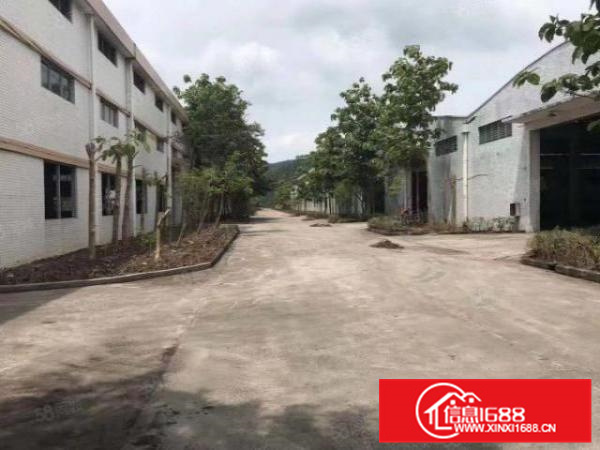 南海区狮山原房东独门独院单一层高速路口30000方厂房出租