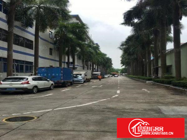 物业直租吉厦早禾坑工业区楼上1000平米电商仓库招租