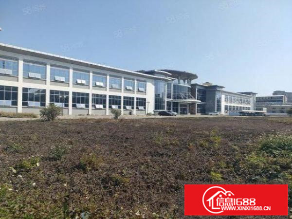 雁田村靠近平湖新出一楼2000平带装修滴水6米带牛脚