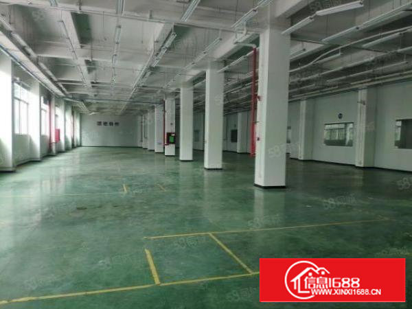 西乡桃源居一楼2600平厂房仓库出租研发物流生鲜配送等