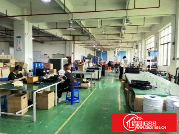 （楼上豪华装修2000平有消防喷淋，公摊小，龙岗中心城）志达