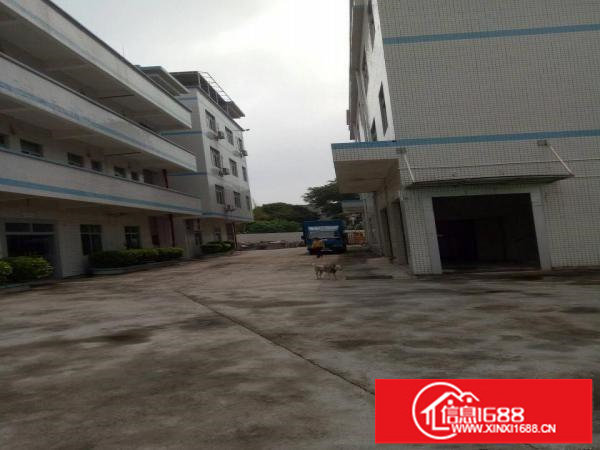 坪山碧岭原房东一楼600平米;厂房急租