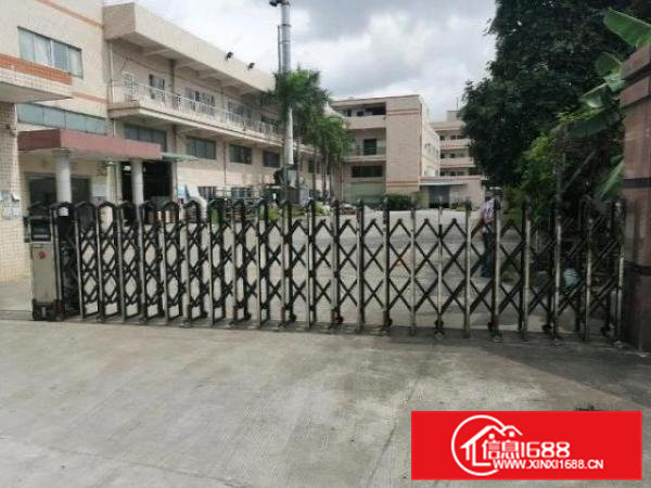 寮步镇新出原房东独院厂房