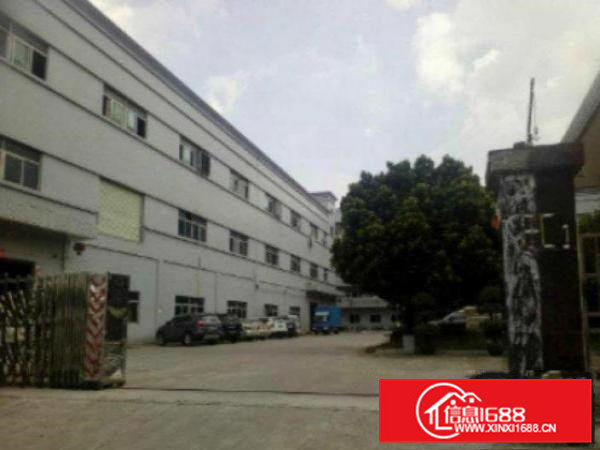 高埗一楼厂房出租5001300、2500平方出租消防水电齐