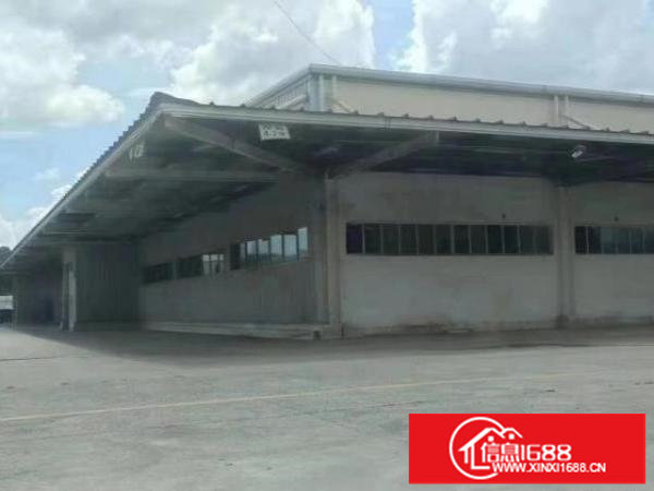 独门独院新出来的厂房层高9米空地大