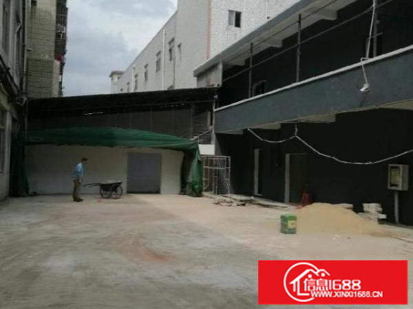 坪山碧岭金碧路597号厂房2800平米厂房招租