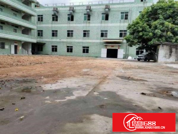 桥头镇独门独院标准厂房！