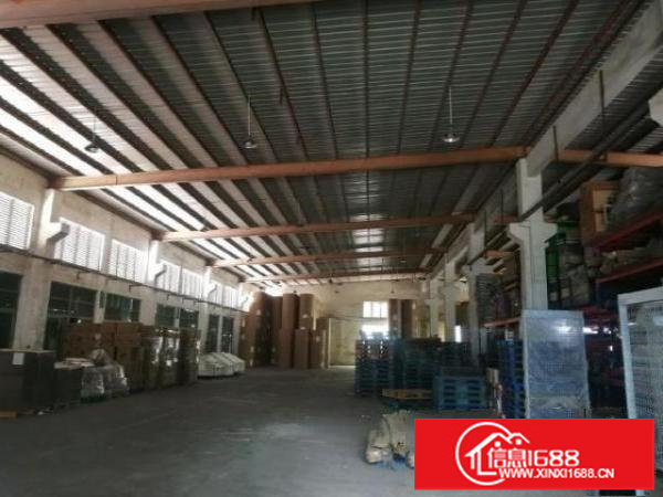 平湖新出2800平米独院钢构带牛角8米高厂房出租