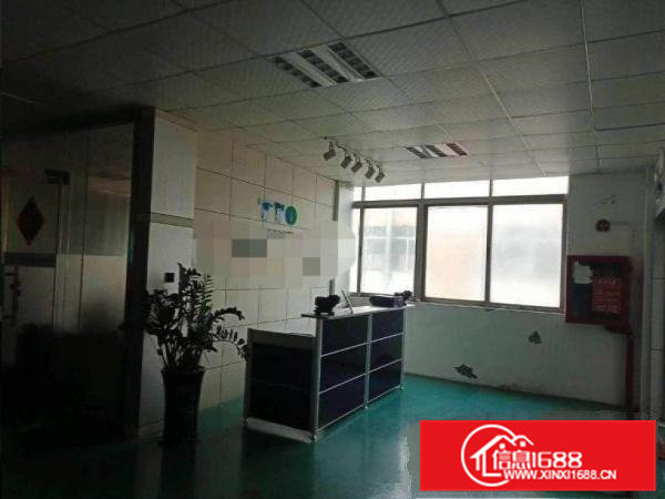 月塘分租原房东标准厂房三楼1000平方，无公摊无杂费