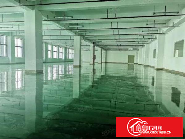 坪山大工业区原房东红本独门独院厂房出租25000平米