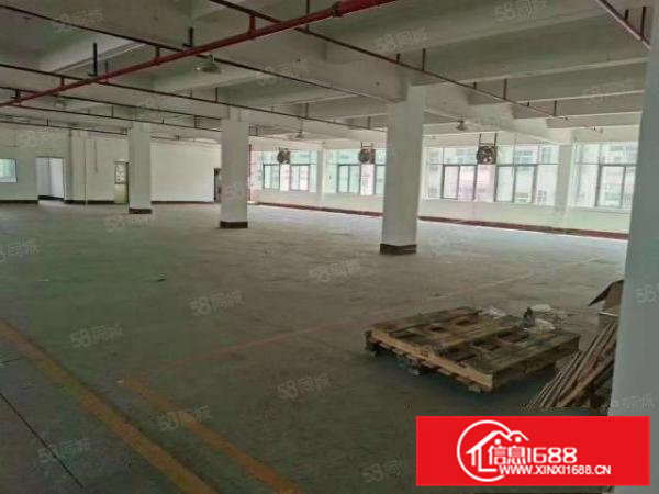 东城横坑带装修厂房900平，水电齐全，环境好，空地大