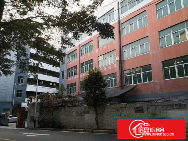 横岗四联10000平方厂房出租大小可分。