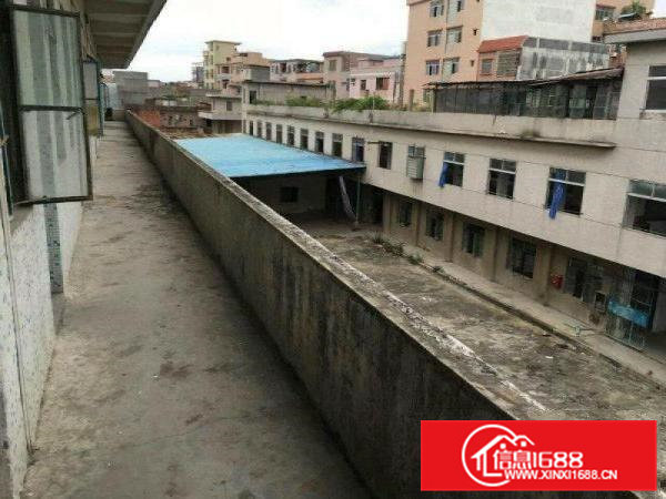 常平旧厂房出租独院厂房3000宿舍1700