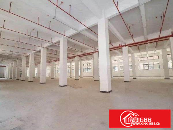 无尘车间，每层4000平米可分租实量面积低价招租