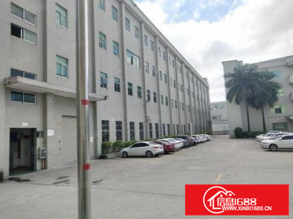 清溪原房东厂房出租1楼1100平方现成办公室水电齐全高度7米