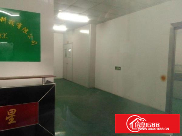 一楼热租中……独院厂房低价出租