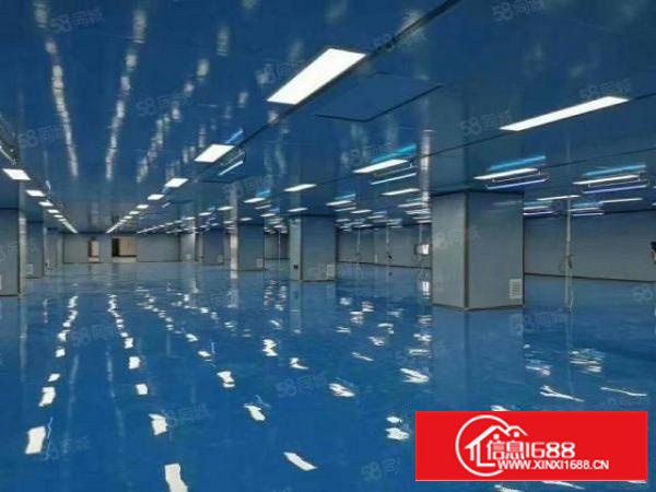 石排镇正规工业区里面，万级无尘车间实际面积，大小可分租，