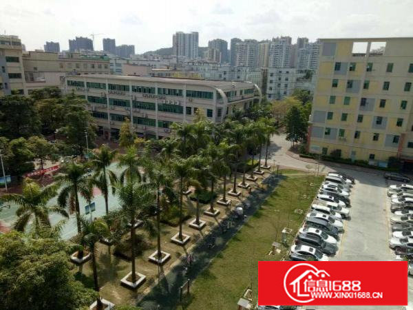 布吉丹竹头康桥300;500;700平米厂房带球场