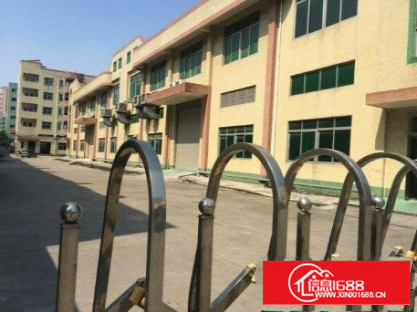 共和一楼1350平方带装修厂房招租