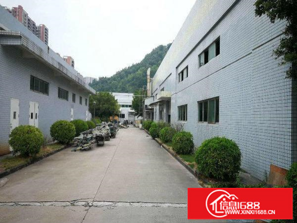 大亚湾原房东单一层钢架带红本分栋、整体招租