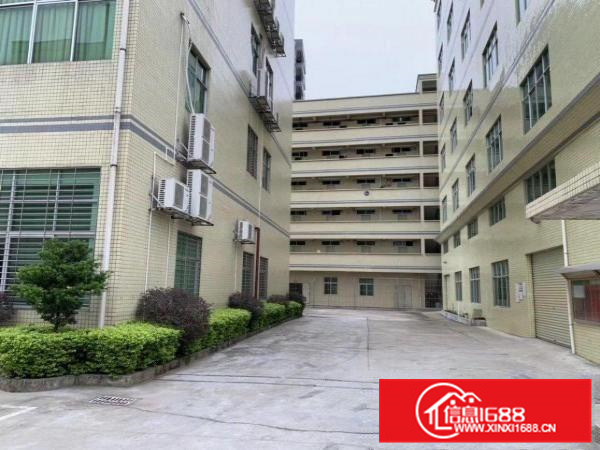 惠阳新圩原房东厂房出租