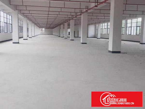 新出标准二楼1000平方，租金便宜可分租