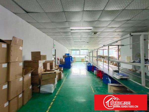 横沥村头楼上带精装修1500平厂房出租