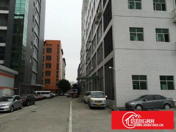 坂田江灏工业园1200平米、2000平米厂房出租