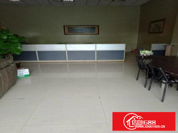 金桔小独院1100平方，豪华前台办公室价低