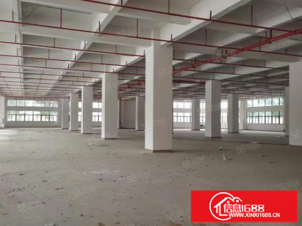 靓盘虎门新出全新华园式厂房出租可大小分租