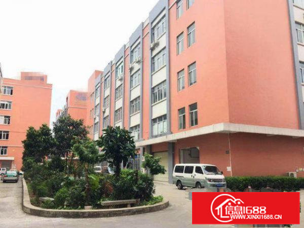 横沥水边楼上标准厂房1500平环境优美火热招租