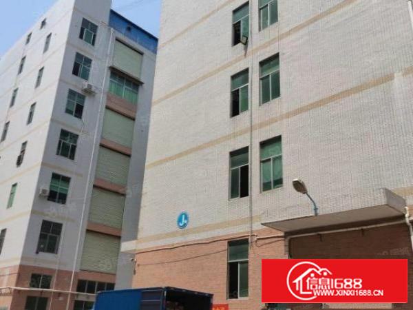 石碣三村第四工业区10000平方200平起租无公摊带环评精装