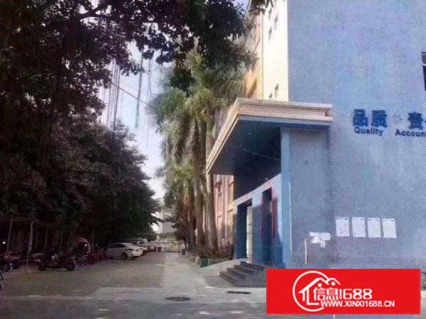 横岗四联独院三层5200平方厂房招租，没有转让费