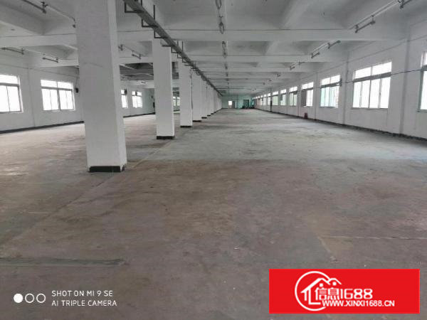 塘厦主干道边上新出楼整层2600平，园区形象好，每层一家客户