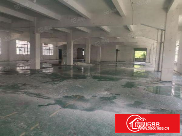 茶山新经5000平典独门独可分租院靠石大路边上价格实惠