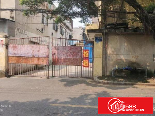 经典小独院！松岗沙浦二路125号整租1920平价格23