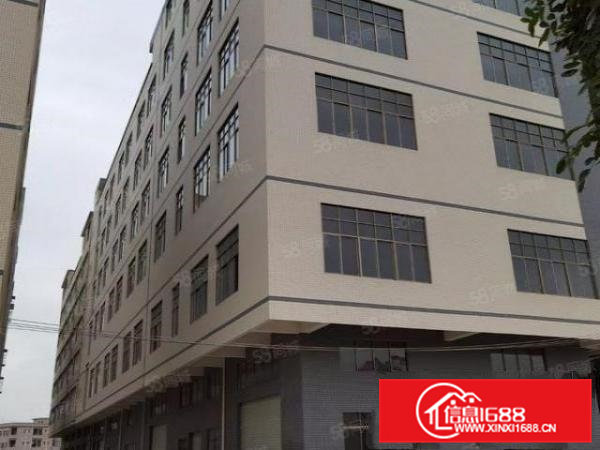 常平九江水工业区全新厂房1300平米，水电齐全，有地坪漆装修