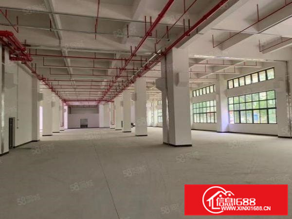 东坑镇原房东全新现成排放环评标准独院厂房出租