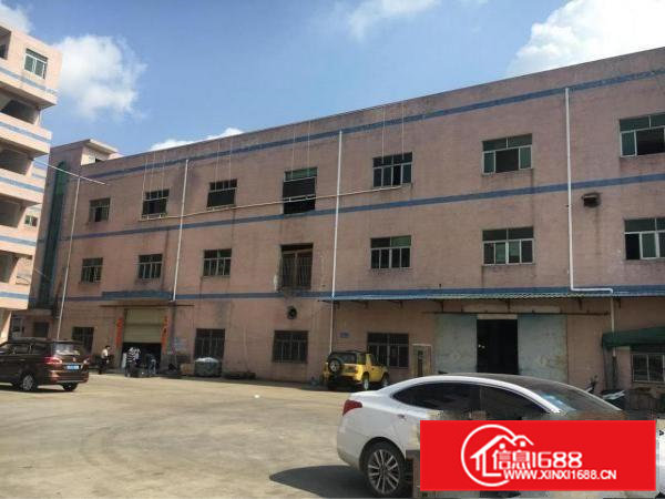 清溪镇新出标准一楼1300平方出租