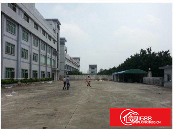 坪山沙湖1至3层标准独院7500平方直租